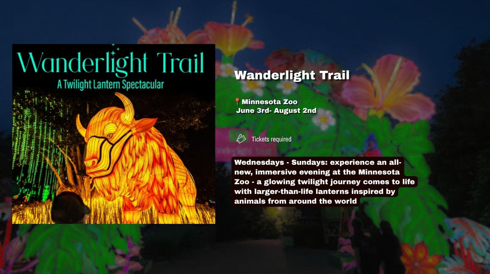 Wednesdays - Sundays throughout the summer: experience an all-new, immersive evening at the Minnesota Zoo. As the sun sets, a glowing twilight journey comes to life with larger-than-life lanterns inspired by animals from around the world